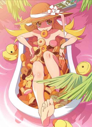 「偽物語」劇伴音楽集 其ノ弐 & あとがたり.jpg